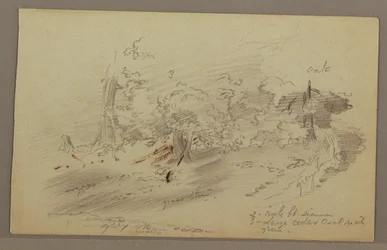 Disegno, Alberi, forse 1860