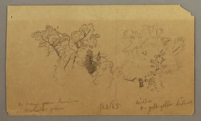 Disegno, Due studi di alberi, ottobre 1865