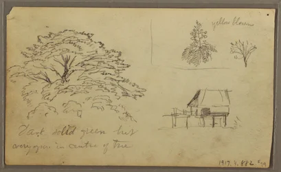 Disegno, Veduta di Guayaquil, Ecuador, 23 maggio 1857