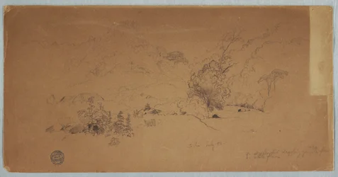Disegno, Veduta di Toche, Colombia, luglio 1853