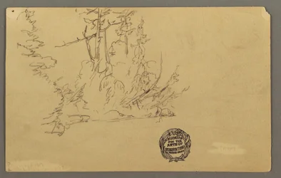 Disegno, Riva boscosa, forse 1877