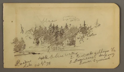 Disegno, Riva boscosa, 1878