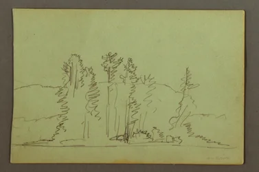 Disegno, Riva boscosa del lago, forse 1856