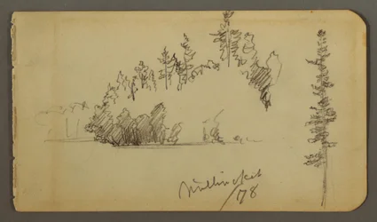 Disegno, Riva boscosa, studio di un albero, 1878