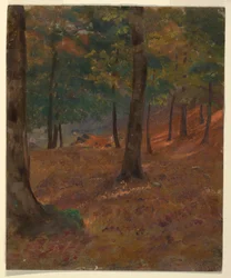 Disegno, scena di bosco, 1870-80