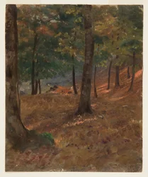 Disegno, scena di bosco, 1870-80