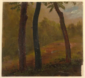 Disegno, scena di bosco, Giamaica, 1865