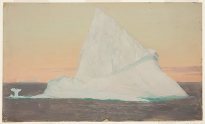 Iceberg e fiore di ghiaccio
