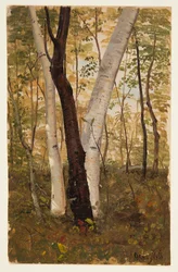 Nel bosco, Hudson, New York