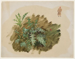 Studi di Piante