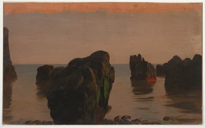 Rocce e muschio al largo di Grand Manan