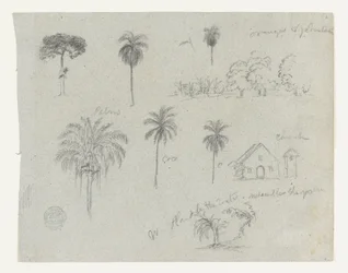 Schizzi dal Rio Magdalena, Colombia.  Schizzi botanici. Una chiesa.  Simile a -103.