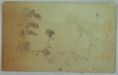 Studi di alberi con dettagli di bambù e un piccolo dettaglio di un uomo che porta banane sulla testa, Bellevue, Giamaica