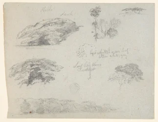 Alberi, cime degli alberi e una sponda boscosa, Saddleback, Maine