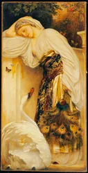 Odalisca