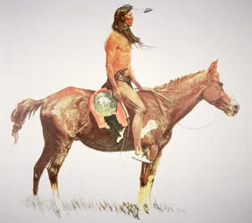 Un coraggioso Cheyenne