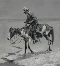 Un pony del Texas
