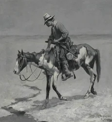 Un pony del Texas