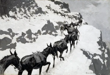 Il pacchetto Mule