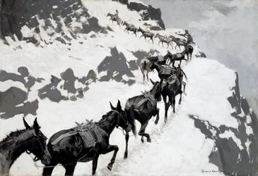 Il pacchetto Mule