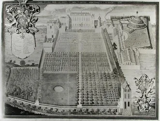 Il giardino delle piante medicinali del re, 1636