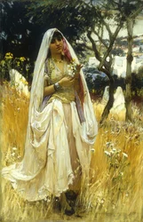 Giovane mora, campagna di Alaer