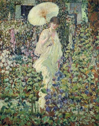 Sole e vento