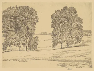 Noci in un campo di fieno, 1917