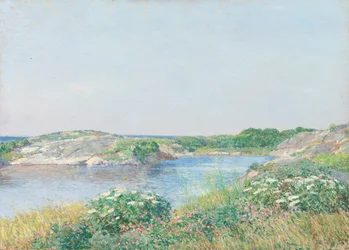 Il piccolo stagno, Appledore, 1890
