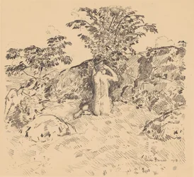 Il ciliegio selvatico