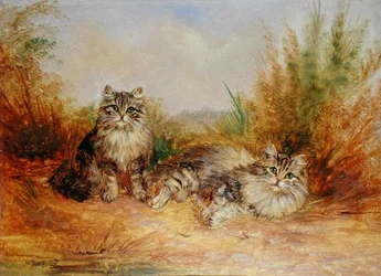 Due gattini tigrati in un paesaggio rurale