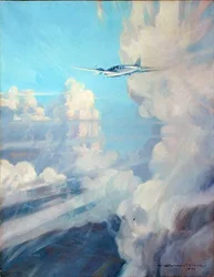 Volo
