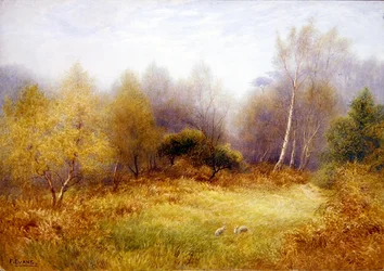 Conigli in una radura della foresta