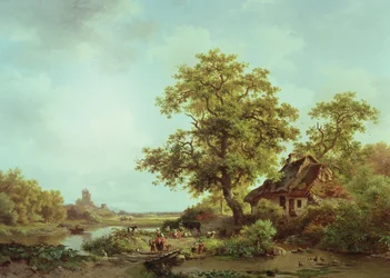 Paesaggio boscoso