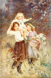 Raccolta di Fiori