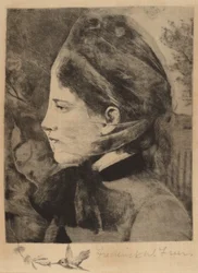 Caprifoglio