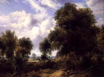 Paesaggio boscoso