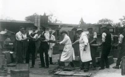 Un pitone lungo 20 piedi trasportato da undici membri dello staff della Società Zoologica, London Zoo, giugno 1925
