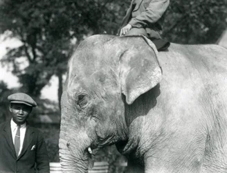 Un elefante birmano con il suo addestratore e un altro uomo, Zoo di Londra, settembre 1926