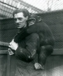 Un uomo porta la scimmia Sally sulla schiena, Zoo di Londra, 1924