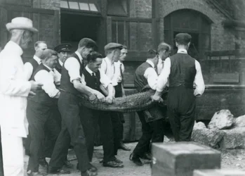 Una squadra di uomini trasporta un alligatore sorvegliato da Sir Peter Chalmers Mitchell, Zoo di Londra, 1924