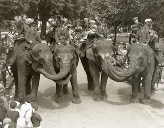 Giri in elefante allo zoo di Londra, luglio 1936