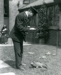 Il custode Collins su un prato al London Zoo con un