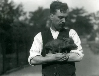 Il guardiano Harry Warwick culla un piccolo facocero tra le braccia allo Zoo di Londra, agosto 1922