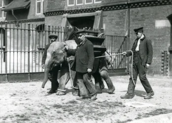I guardiani Jack Milbourne, H Robertson e Thomas addestrano un giovane elefante asiatico, Zoo di Londra, maggio 1922