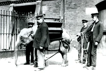 I guardiani Jack Milbourne, H Robertson e Thomas addestrano un giovane elefante asiatico, Zoo di Londra, maggio 1922