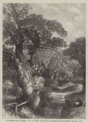 Una strada di campagna nel Surrey