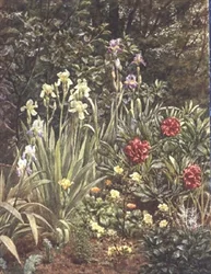 Un angolo del giardino