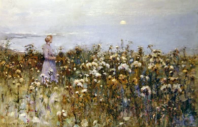 Sole estivo