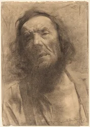 Testa di un uomo, 1884